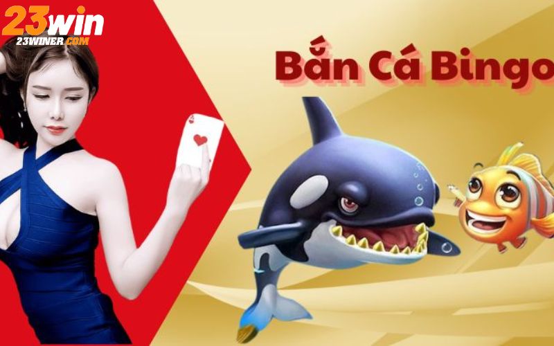 Những thông tin giới thiệu về bắn cá Bingo