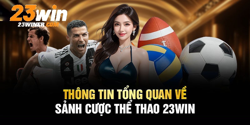 Thể thao 23Win được lựa chọn và săn đón nhiều nhất 2024